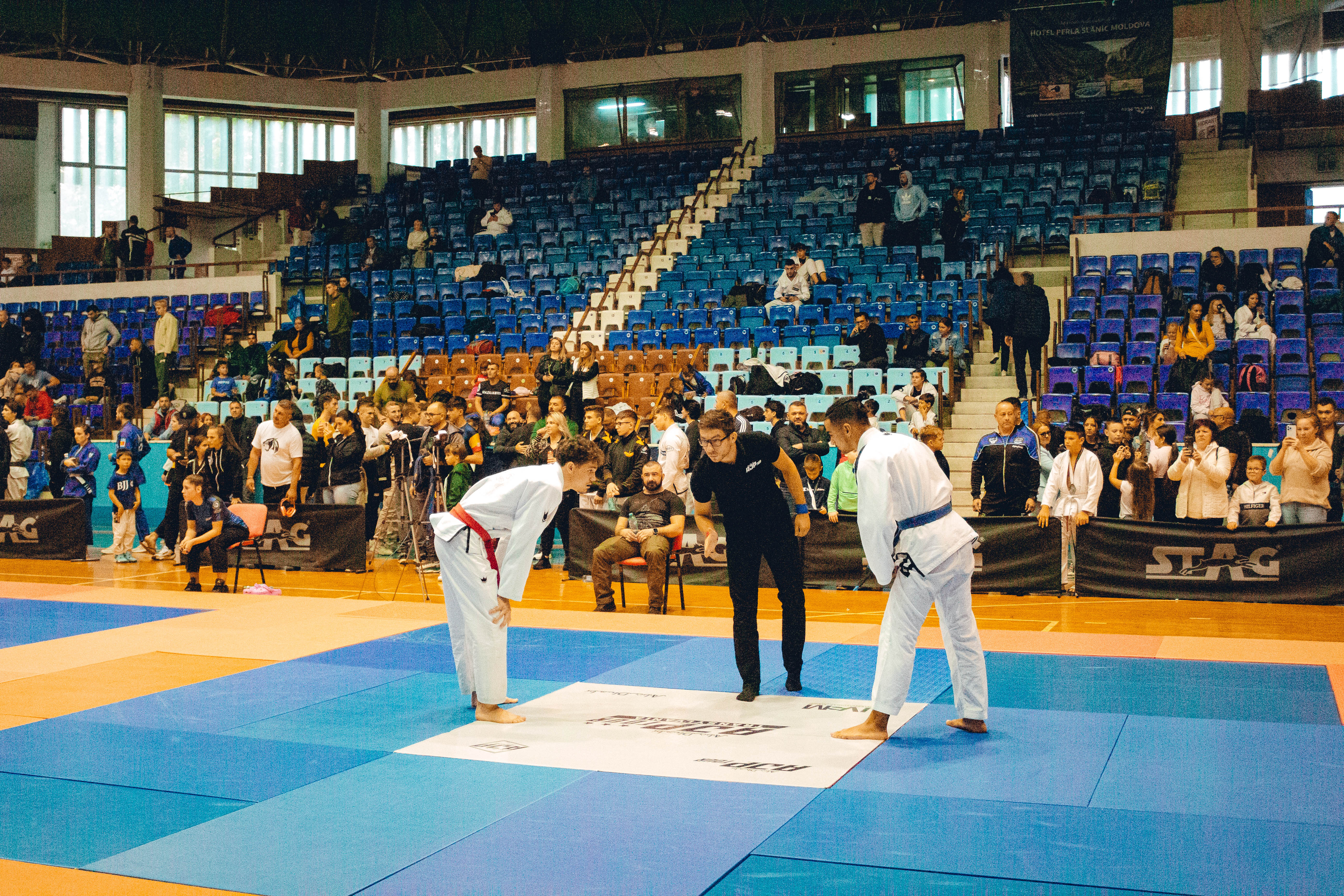 Fotografiile de la AJP Tour Transylvania Regional Jiu-Jitsu Championship 2024 sunt acum disponibile!