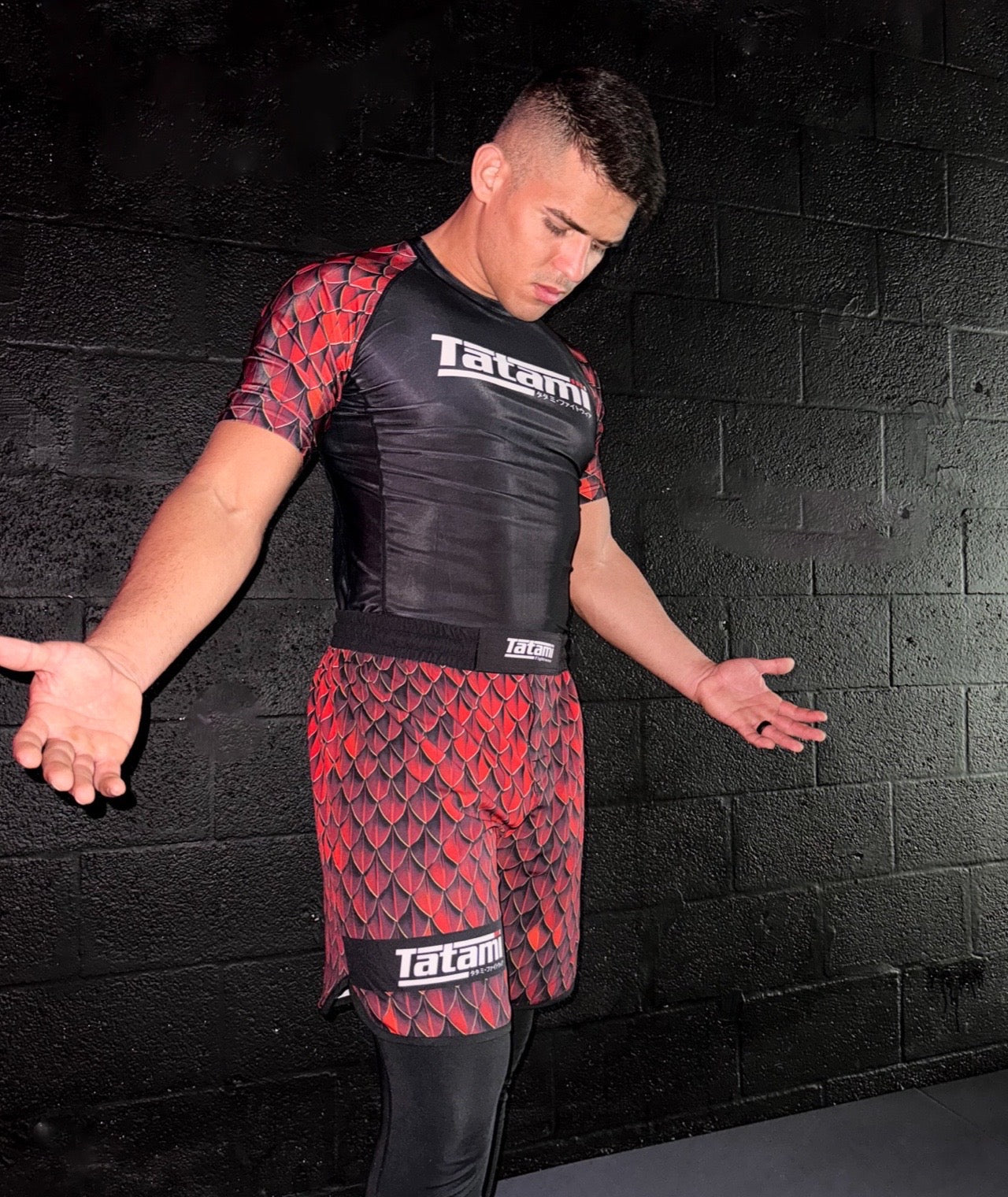 Tatami Fightwear Rash Guard TATAMI Recharge Rash Guard - Dragon