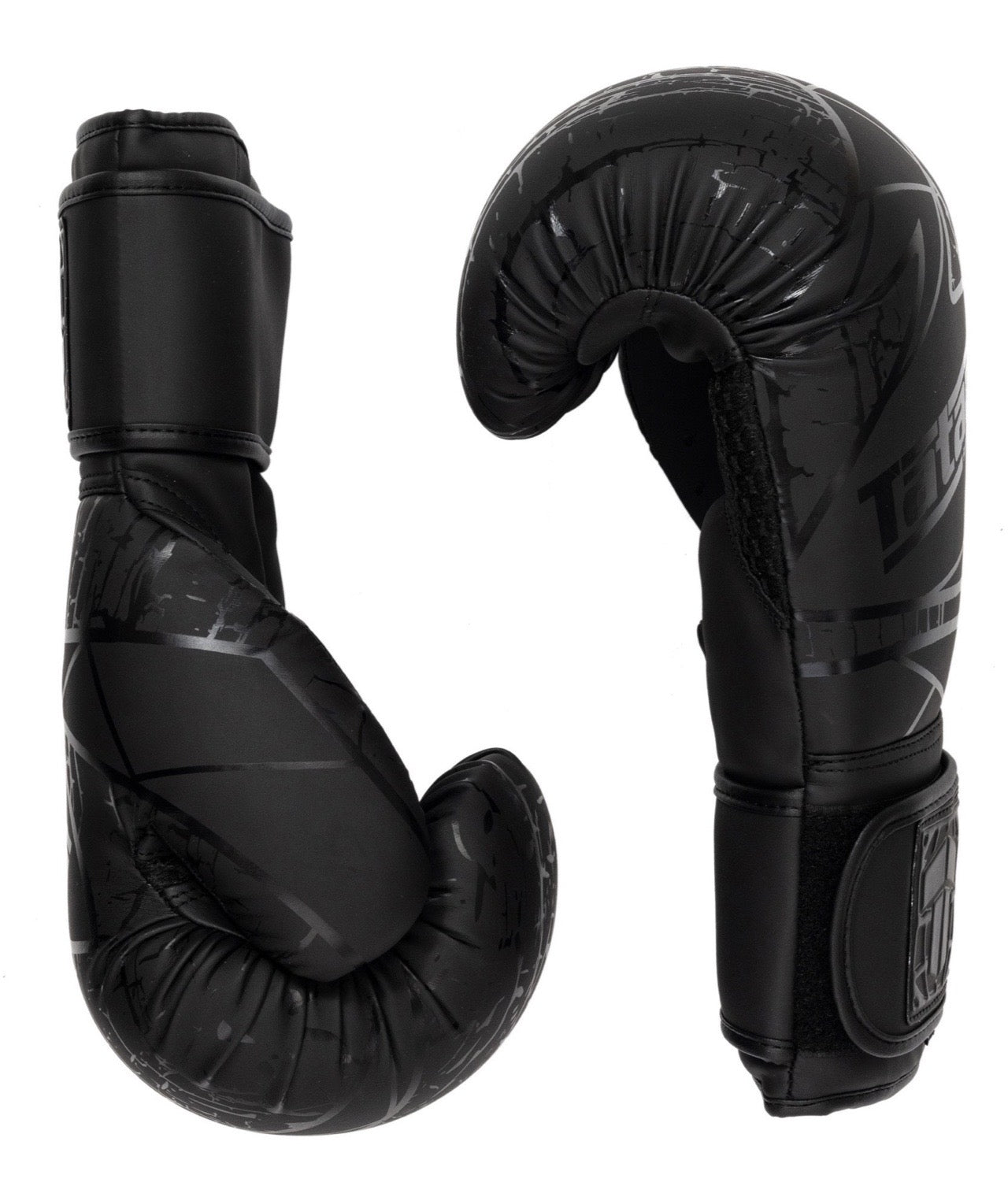 TATAMI Obsidian Boxing Gloves